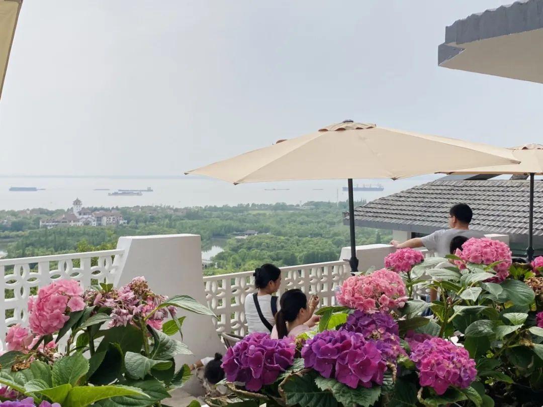 微信图片_20250604180019.jpg