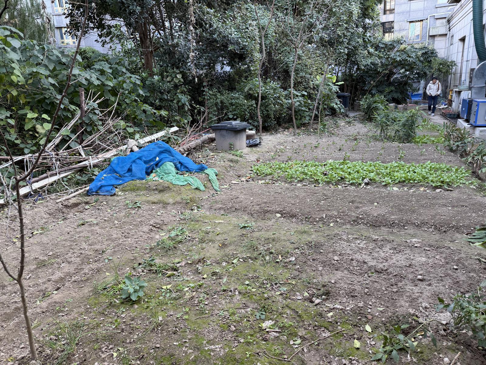 微信图片_20251118184719_303_35