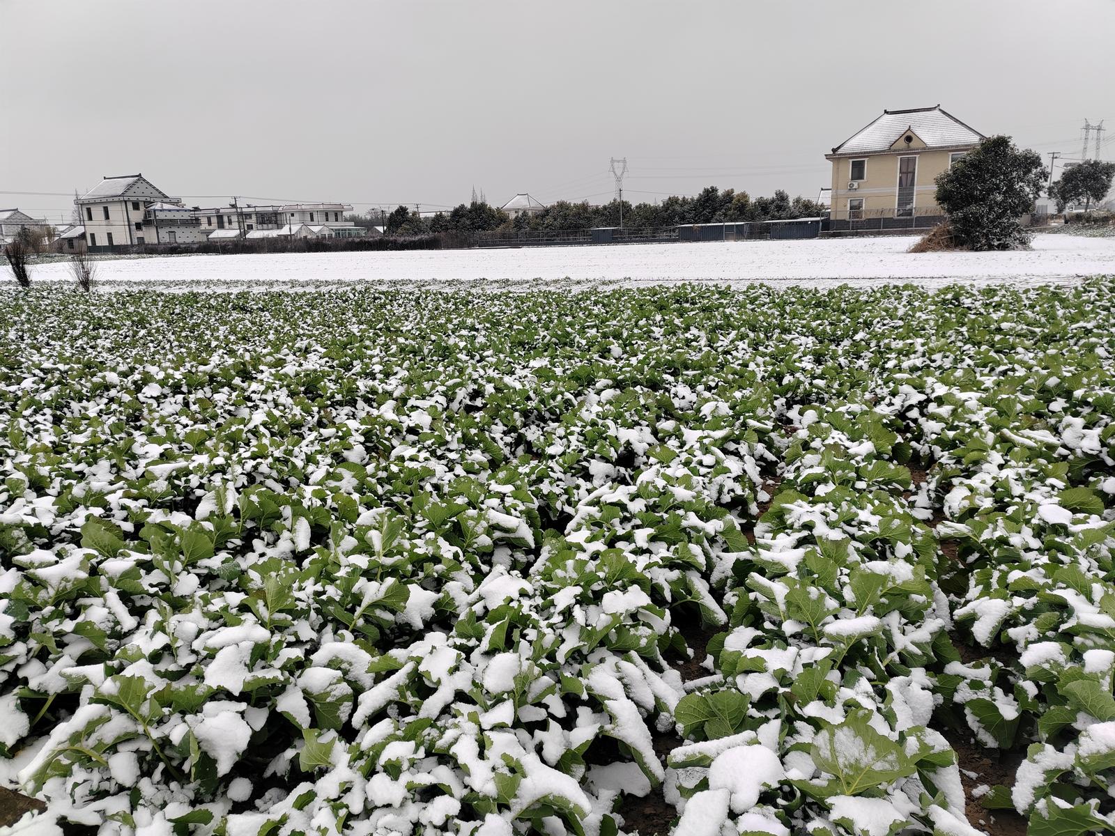 cd05ef86cd706b6ccc950ac66c3333bf