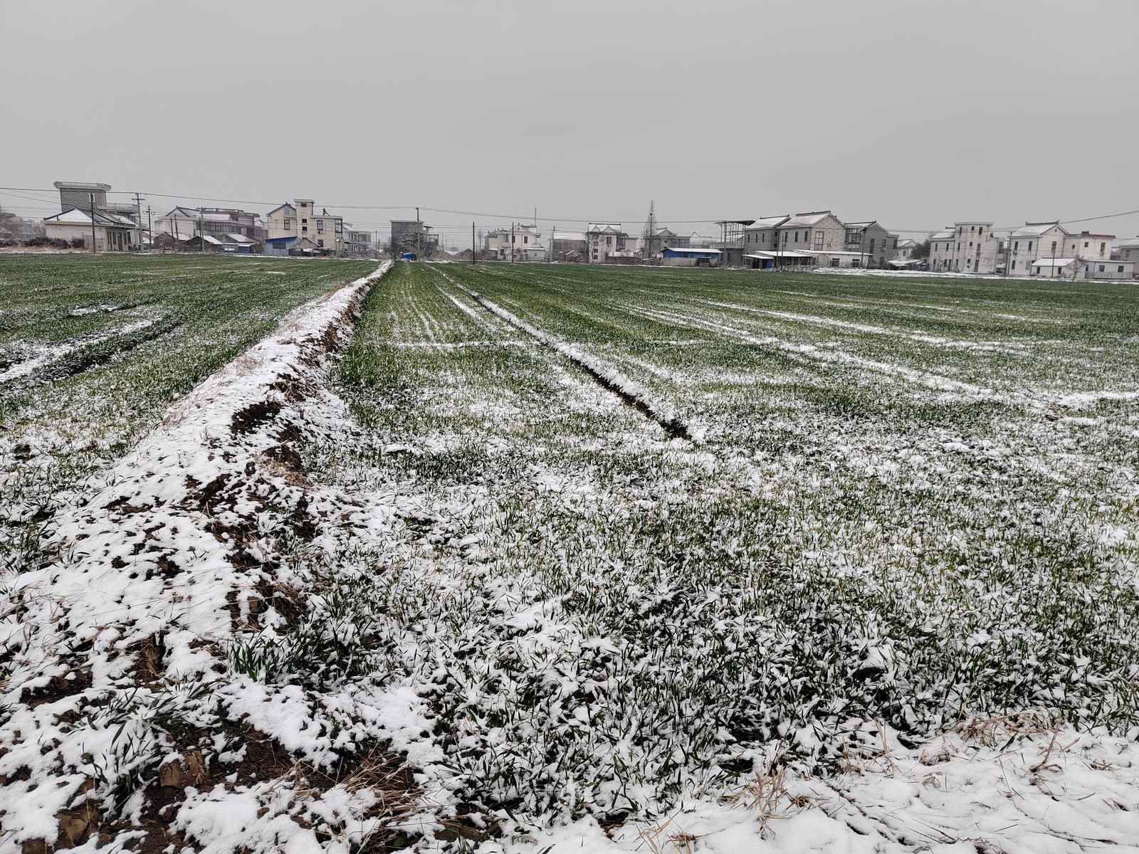 66ecf401f4c9d0bad797bf40a990f0da