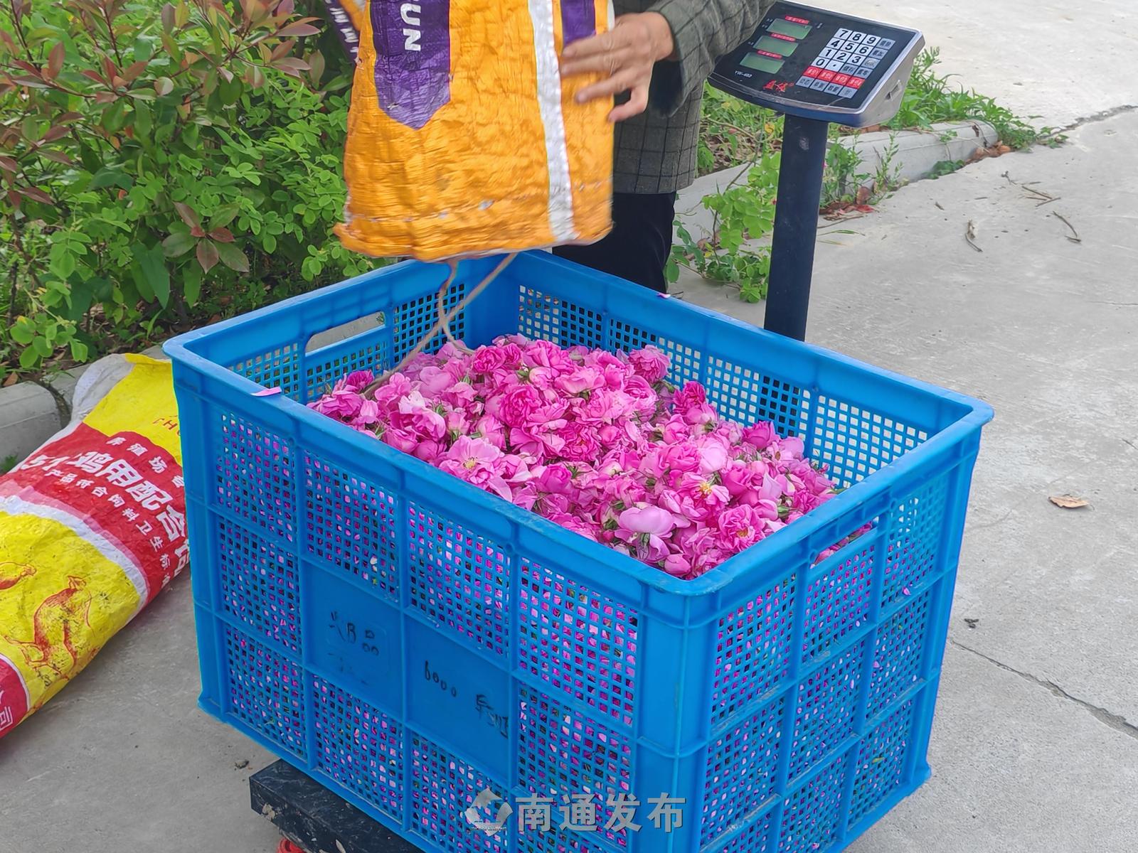 微信图片_20260511092126_114_3.jpg
