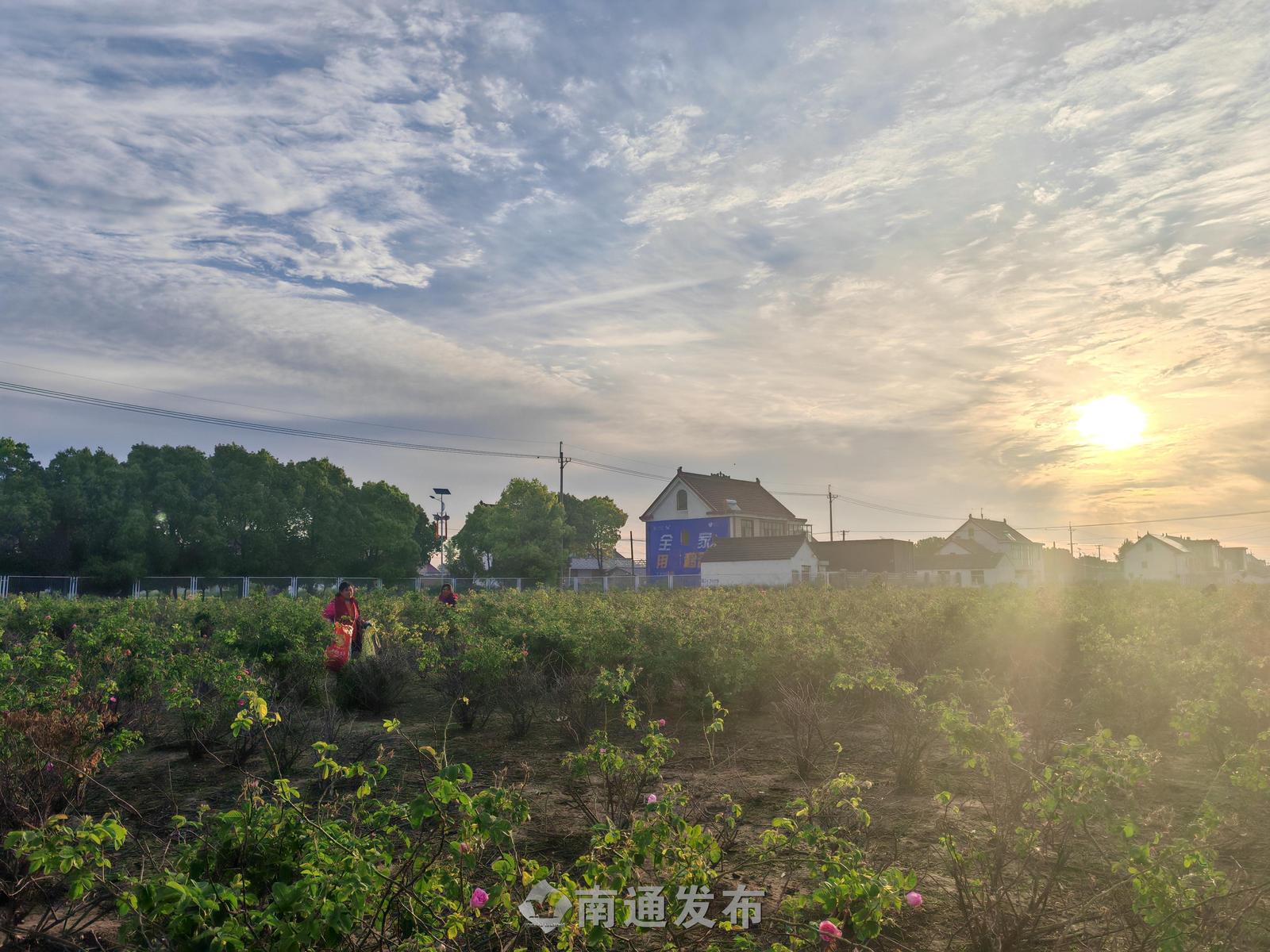 微信图片_20260511092128_115_3.jpg