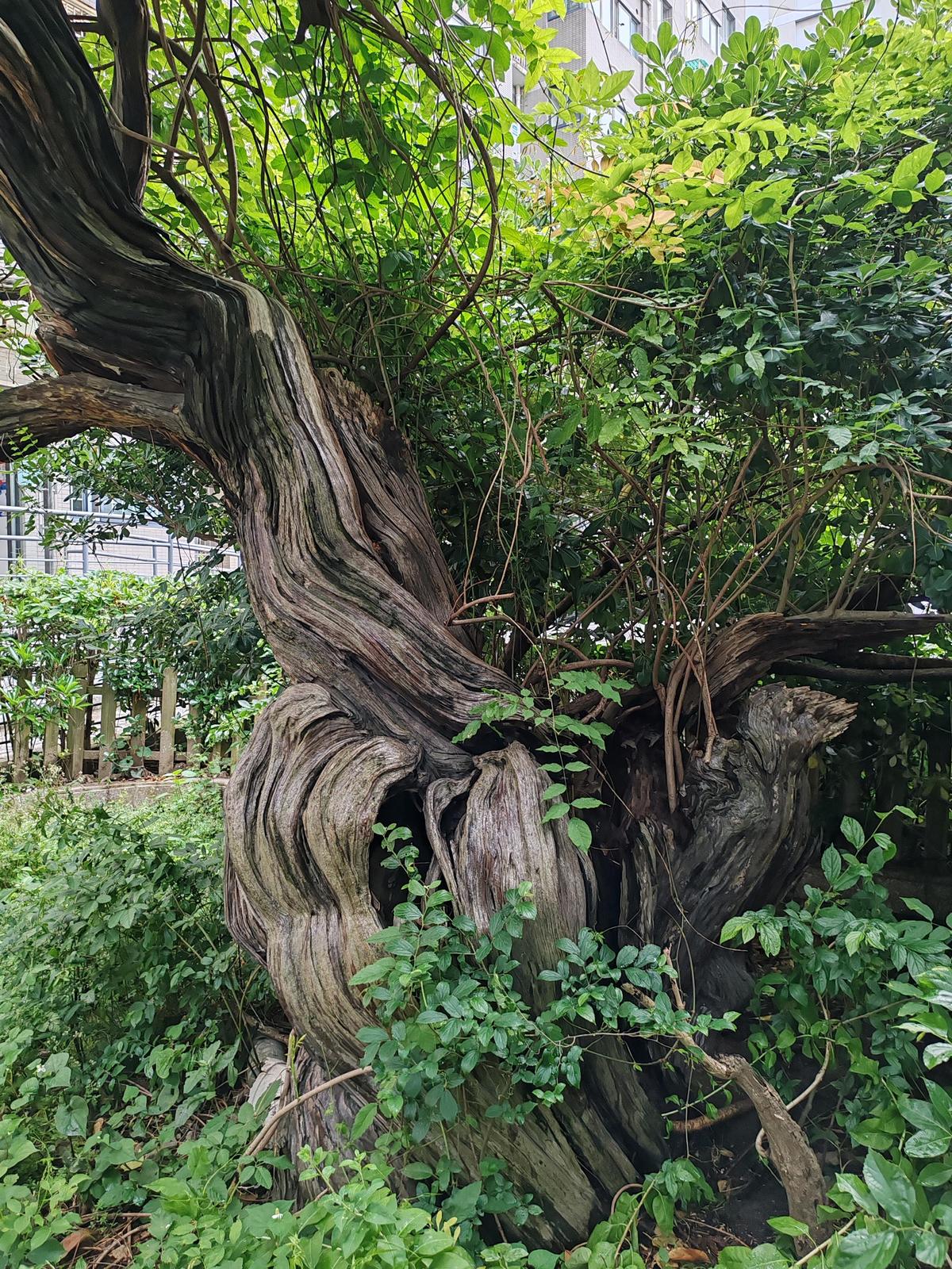 微信图片_20260519190916_2443_25.jpg