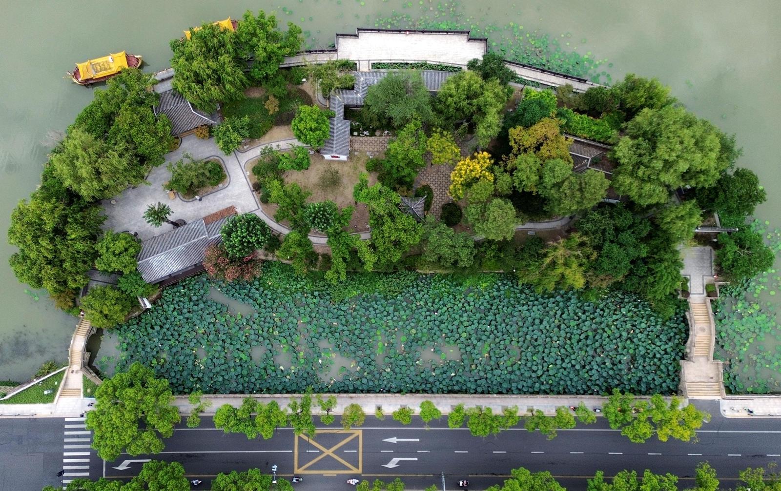 DJI_0260.JPG